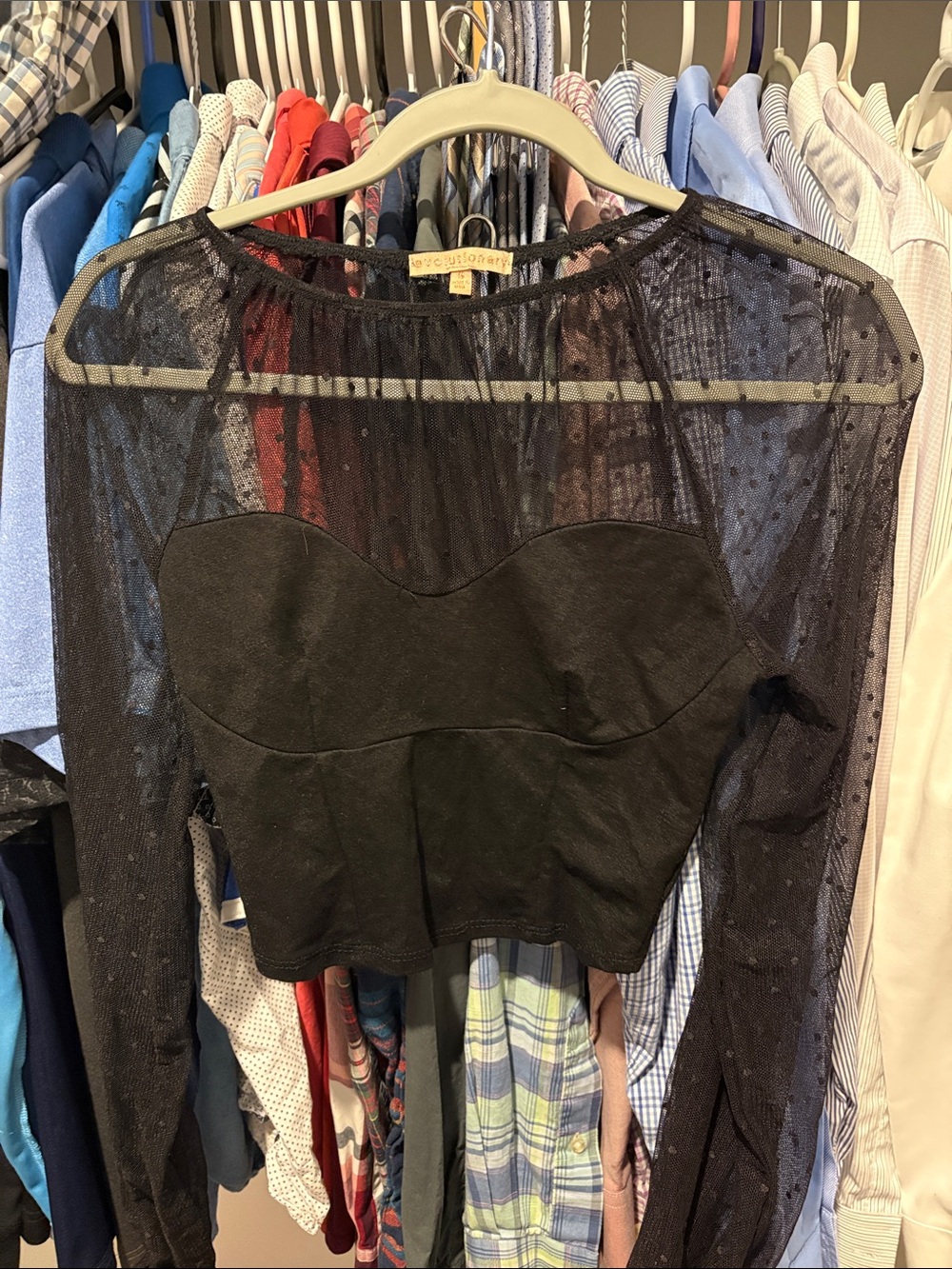 Black Sheer Long-Sleeve Peplum Crop Top